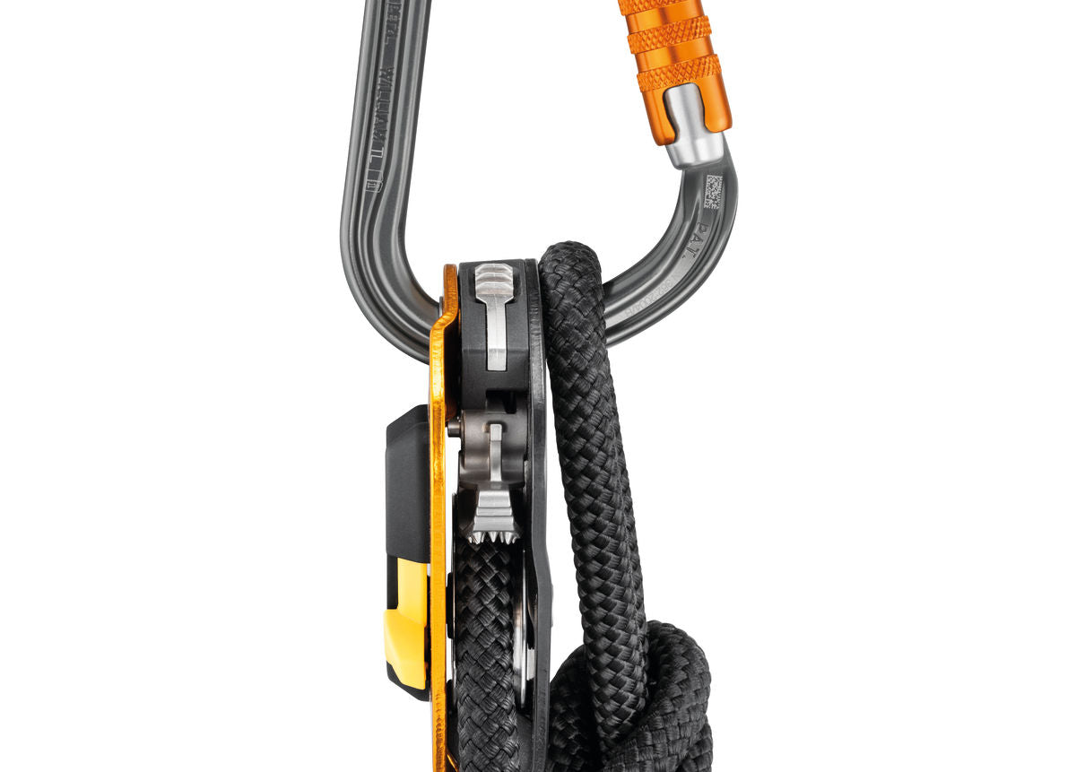 Mosquetón Petzl William Triact-Lock - gris