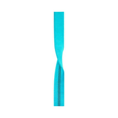 Cinta tubular Edelrid X-Tube 25 mm x 100 m color icemint